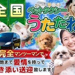 ［予約受付開始］春の帰省・旅行・転勤　ペットの輸送　ペットタクシー！ - 地元のお店