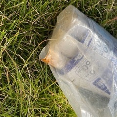 日除け　ポールの画像