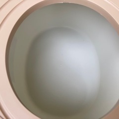 アイリス上から猫トイレの画像