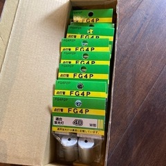 点灯管　FG4P