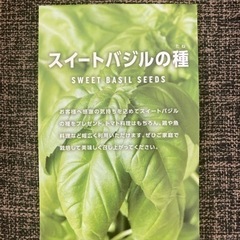 スイートバジルの種