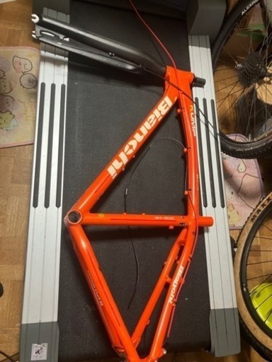 Bianchi kuma 48サイズ　フレームとフルカーボンフォークのみ