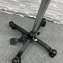 【終了】トルソーの画像