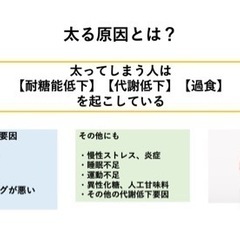 オンライン講座開催/ダイエット栄養学の画像