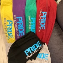 【東京：江戸川区：9人制ママさんバレー】PRIDE