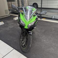 【美車・低走行】Ninja250 KRTeditionの画像