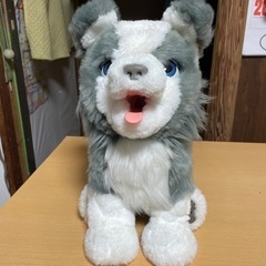 取引決まりましたファーリアル トリック ラブ(子犬リッキー)