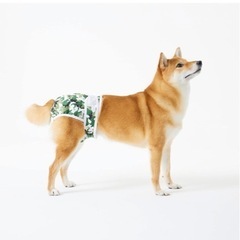 WICKEDPUP ペット用おむつスターターキット、Sサイズ |...