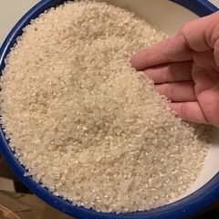 新米！秋田こまち（8分つき）20㎏7800円