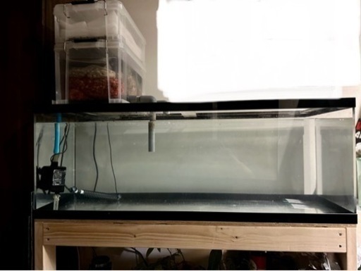 爆安‼️アクリル水槽セット‼️年末大放出‼️