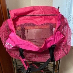 有名ブランドSASフルードバッグ★メッシュバッグ★一回使用しました★フルードバッグの画像