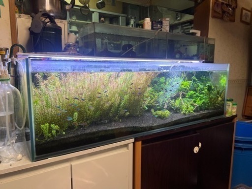120センチ水槽　全部