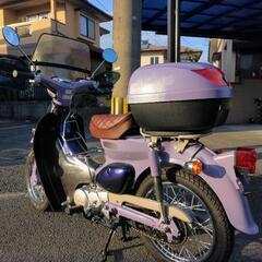 決まりました!(^^)!　ホンダ　リトルカブ　実働整備車　合志市発の画像