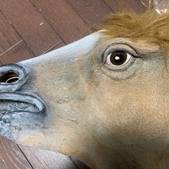 1980円の品★馬のマスク★サラブレッド★パーティー★仮装大会★馬が好きな方の画像