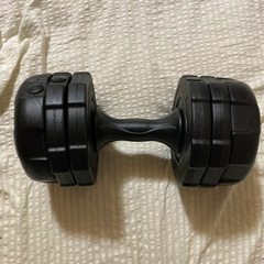 ダンベル10キロ 2個とアームカール？