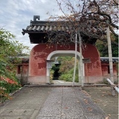 【京都を巡る会（12月）活動ツアー】2023 - 京都市