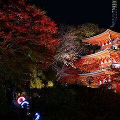 撮影、作曲、フィールドレコーディング、映像編集に興味が有り、素材を大切に考えられる人を探しています♪ - メンバー募集