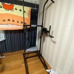 ごく一般的なぶら下がり健康器具です。