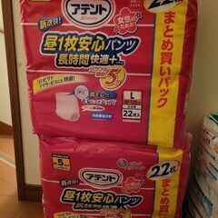 おとな用おむつ、女性用Lサイズ×2パック