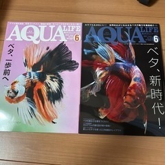 月刊アクアライフ　ベタ特集2冊セット