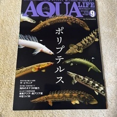 月刊アクアライフNo.518 9月号