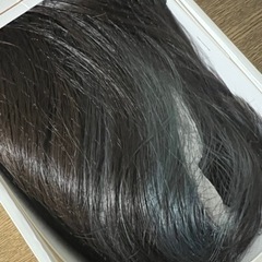 ウィッグ 
