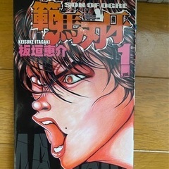 漫画　範馬刃牙　全巻セット