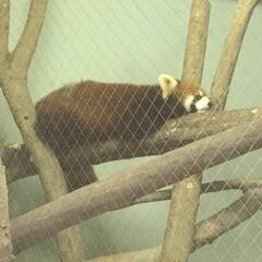 勉強会(⁠θ⁠‿⁠θ⁠)