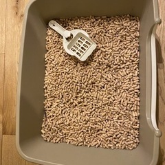 猫トイレ　美品の画像