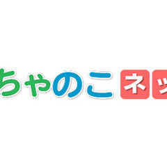 ホームページ作成/手直し　おちゃのこサイト限定　（業者の毎月管理...