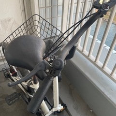 【至急】折りたたみ自転車　　11/28日中、29日夜、30日