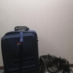 　　商談済み　バック 親子