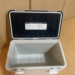 クーラーボックス 22L ホリデーランドクーラー ホワイトの画像