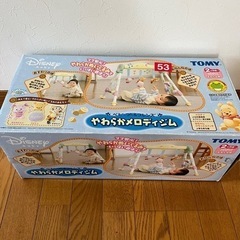ディズニー　やわらかメロディージムの画像