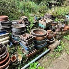 急募⚠️植木鉢・盆栽鉢