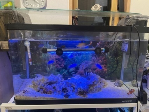 海水魚　フルセット　しかも曲げガラス水槽