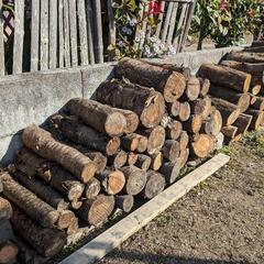 【お話中】薪　スモークチップ材料　山桜 玉切り