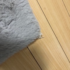 カーペットの画像