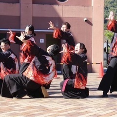 毎週土曜日or日曜日‼️よさこい体験、見学募集中‼️ - メンバー募集