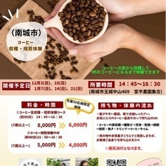コーヒー収穫・焙煎体験　12/10開催予定