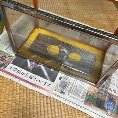 水槽　約30センチ✖️40センチ✖️30センチ