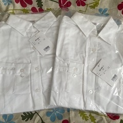 新品ブラウス13号2枚