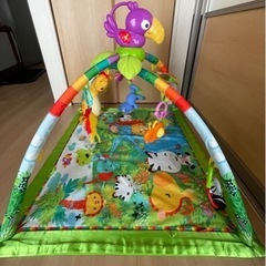 フィッシャープライス　レインフォレストデラックスジム