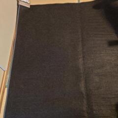 Panasonic　ホットカーペット