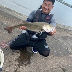 相模川、多摩川シーバスアングラー仲間募集