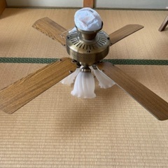 シーリングファンライト