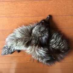 捨てるのもったいないので！