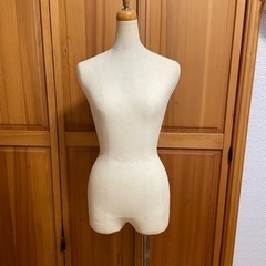 トルソー　マネキン　レディース