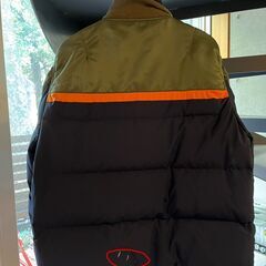 Sacaiのジャケット（ダメージ）無料の画像