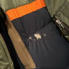 Sacaiのジャケット（ダメージ）無料の画像